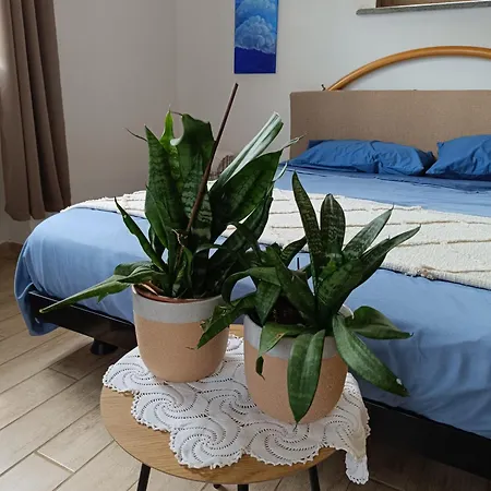 Apartamento Albaluna