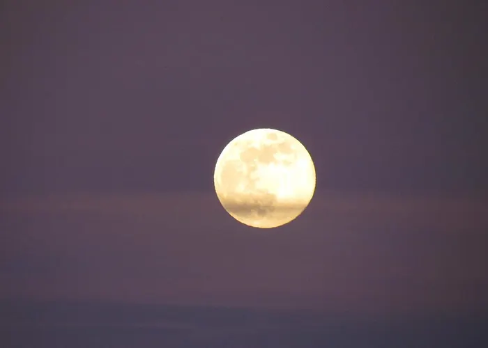 Lägenhet Albaluna *